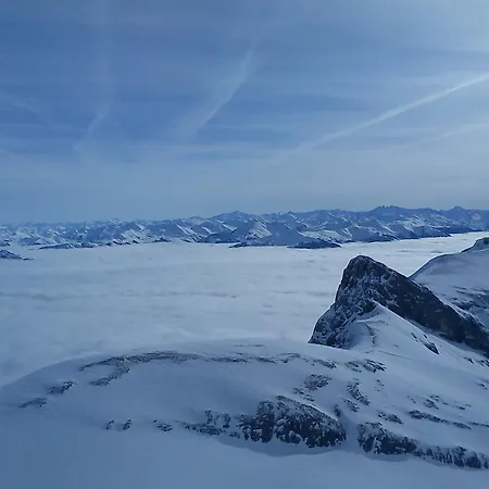 Apartament Schautzgy