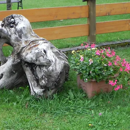 Schautzgy Lejlighed *