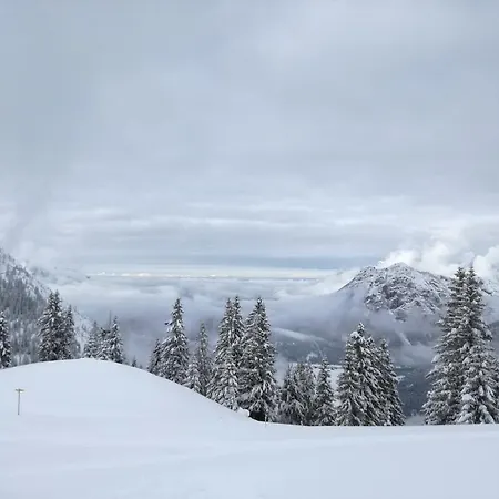 Schautzgy Reutte