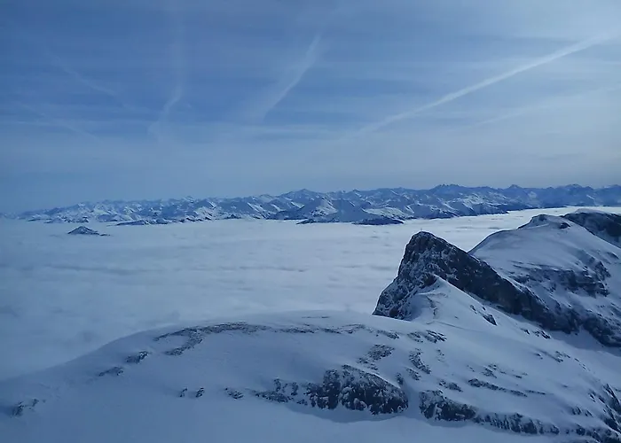 公寓 斯查兹度假屋