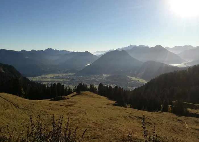 Schautzgy *