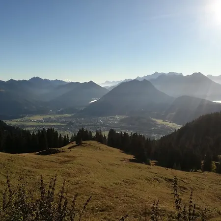 Schautzgy *