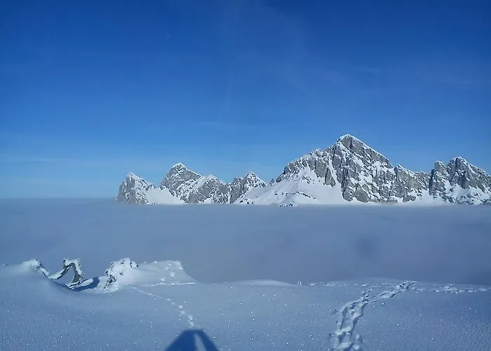 Apartment Schautzgy Reutte