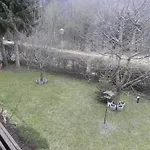 Apartamento Schautzgy *